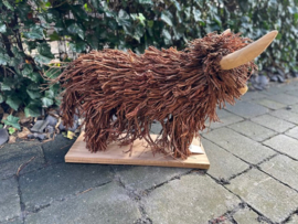 Schotse Hooglander