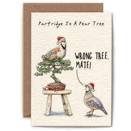 C12-01 Christmas Partridge
