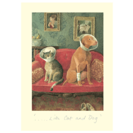 IA19 Like cat and dog