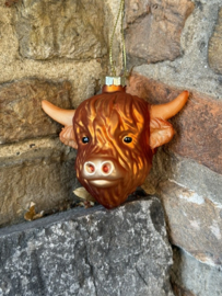 Schotse Hooglander Kopje / Highland Cow face