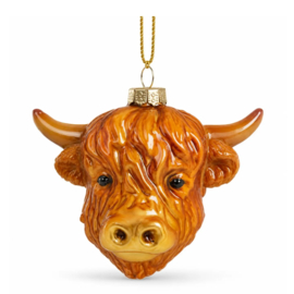 Schotse Hooglander Kopje / Highland Cow face