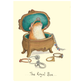 IF157 The Royal Box