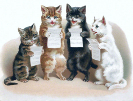 VT40 Singing Cats