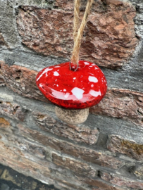 Paddenstoeltje Plat hoedje