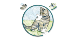 Curiosi Picoli puzzel Kat