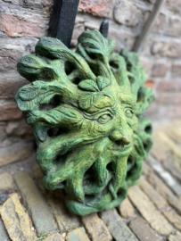 Green Man Root