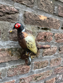 Fazant op knijper glas