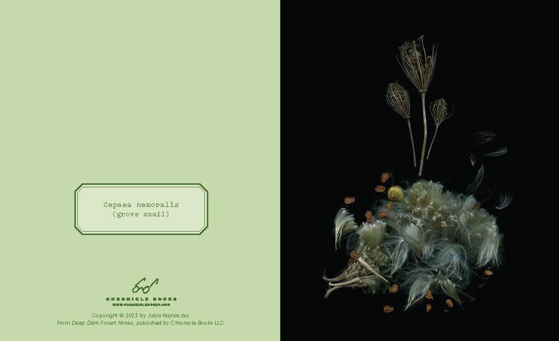Deep Dark Forest  (Notecards & Enveloppes)