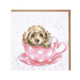CS162 Teacup Pup