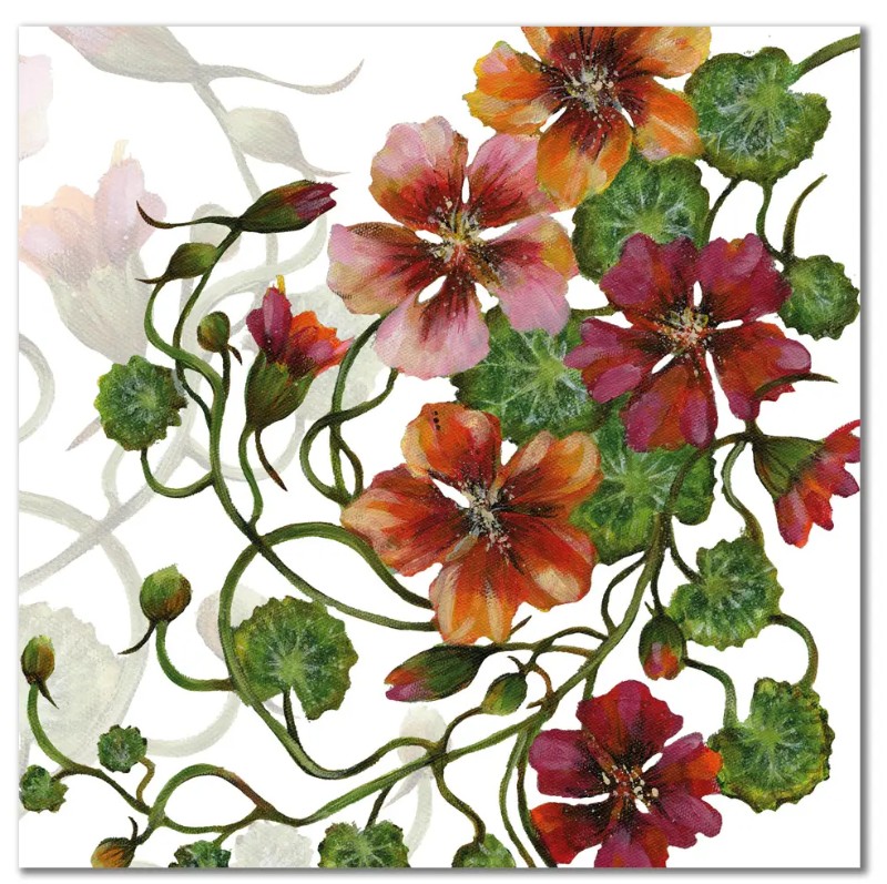 CA68 Nasturiums