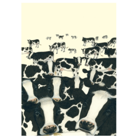 L14 Cows