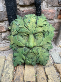 Green Man Quercus