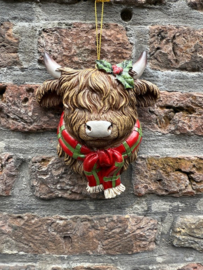 Schotse Hooglanders / Highland Cows