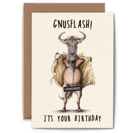 B13 Gnusflash! It's your birthday