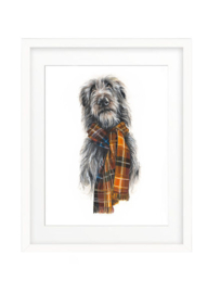 Dave the Deerhound