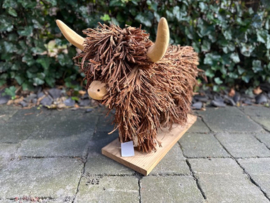 Schotse Hooglander
