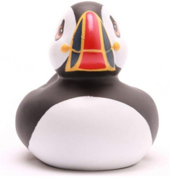 "Badeend" Puffin / Papegaaiduiker