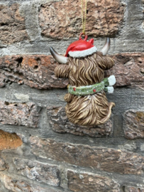 Kleine Schotse Hooglander met rode kerstbal