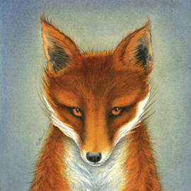 The Fox Cub