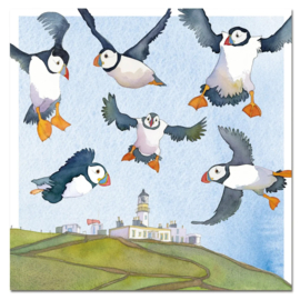Puffins in vlucht