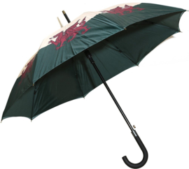 Storm paraplu Wales vlag