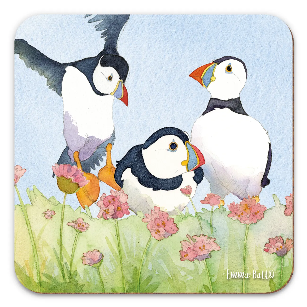 O29THR04 Three Puffin Sea Thrift