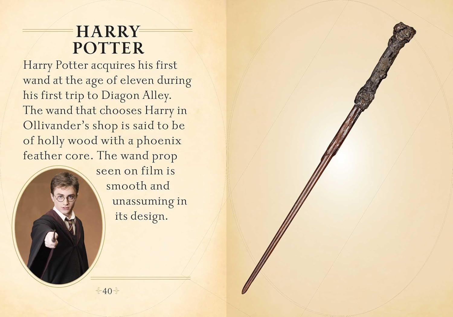 Harry Potter: The mini book of wands