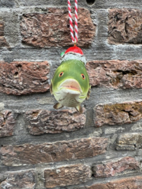Vis / Karper met Kerstmuts