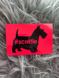 Ansichtkaart #Scottie