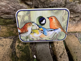 Eric Heymans opberg blikje British Birds