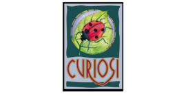 Curiosi Picoli puzzel Lieveheersbeestje