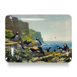 Dienblad Broedende Puffins / Papegaaiduikers