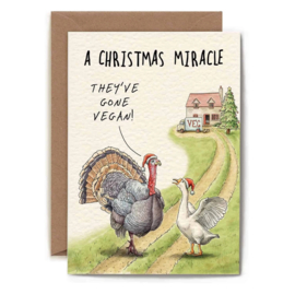 C35-01 Miracle Turkey