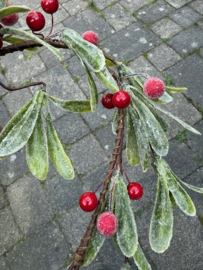 Kerstkrans Hartenvorm Mistletoe met rode besjes