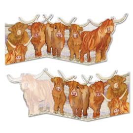 Highland Coos