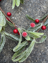 Kerstkrans Hartenvorm Mistletoe met rode besjes