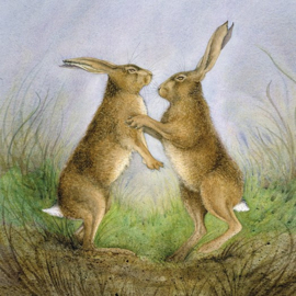 Boxing Hares