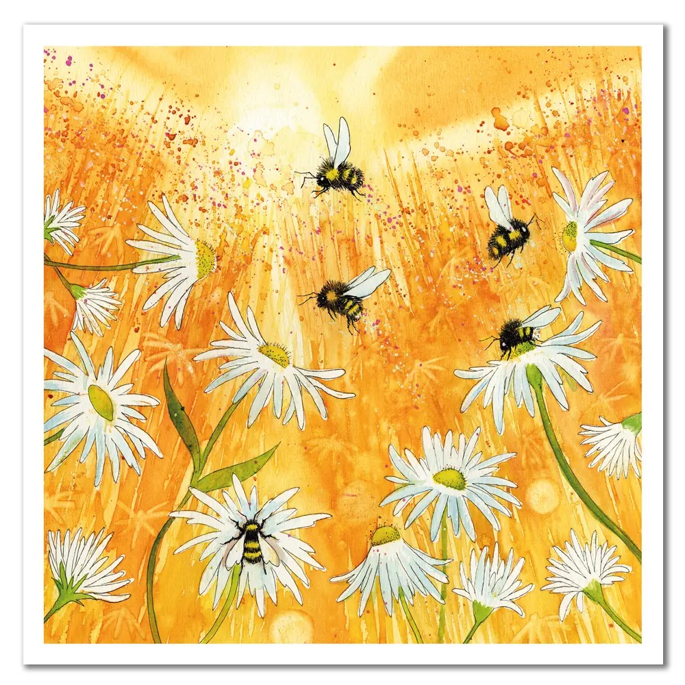 EH97 Camomile