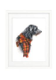 Strathearn Deerhound