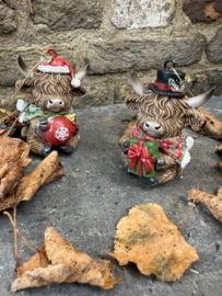 Kleine Schotse Hooglander met rode kerstbal