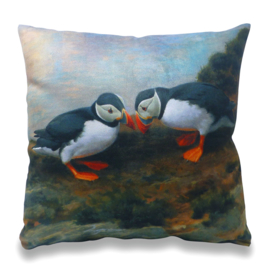 Puffins in de schemer