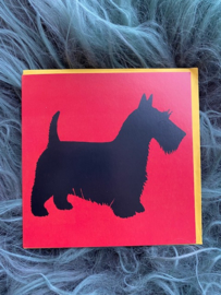 Dubbele Kaart Scottie