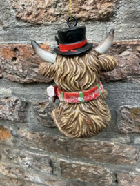 Kleine Schotse Hooglander met cadeautje
