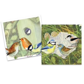 Mini cardpack British Birds