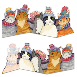 Cats in Hats