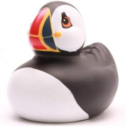 "Badeend" Puffin / Papegaaiduiker