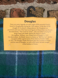 Lamswollen das  Douglas Ancient ruit
