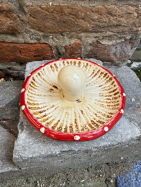 Paddenstoel schaaltje