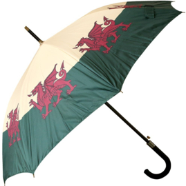 Storm paraplu Wales vlag