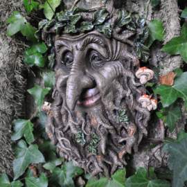 Treebeard